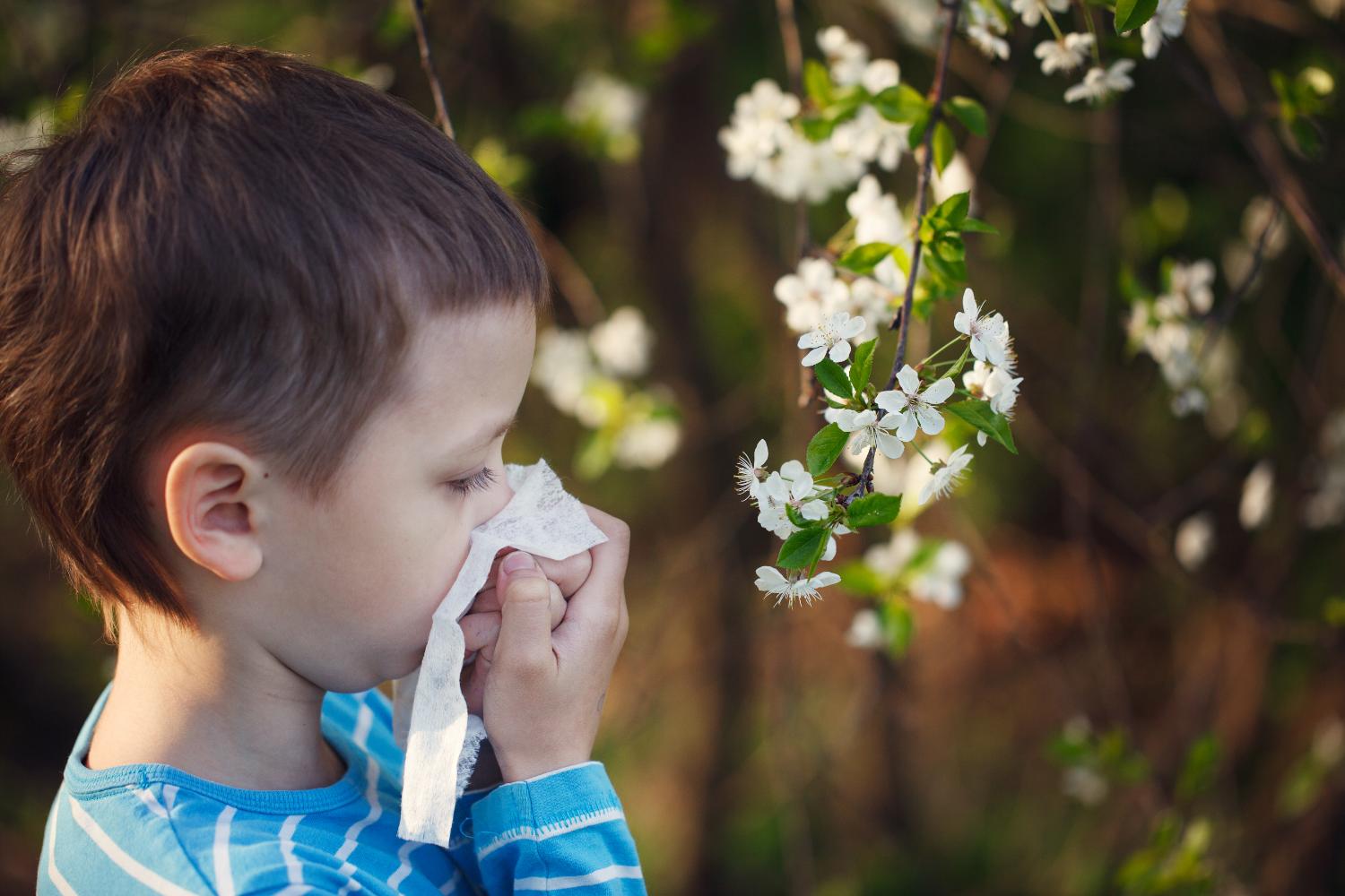 Allergologia Pediatrica: un nuovo servizio dedicato alla salute dei più piccoli