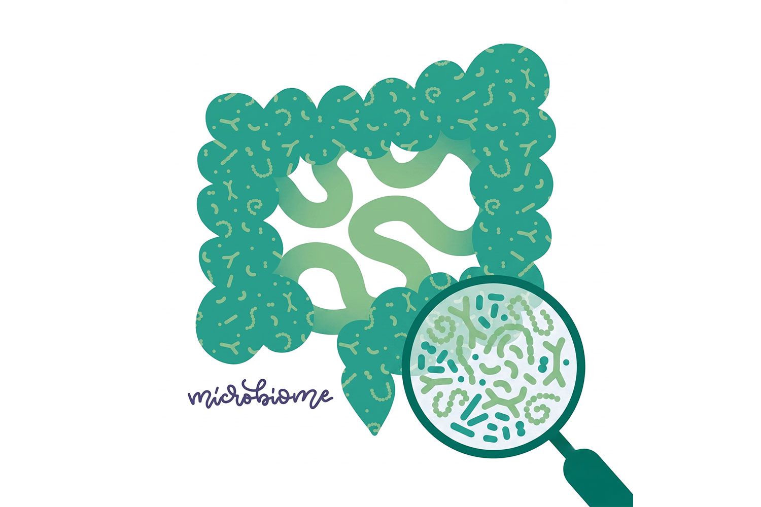 Microbiota intestinale: come prendersene cura e perché l’alimentazione è importante